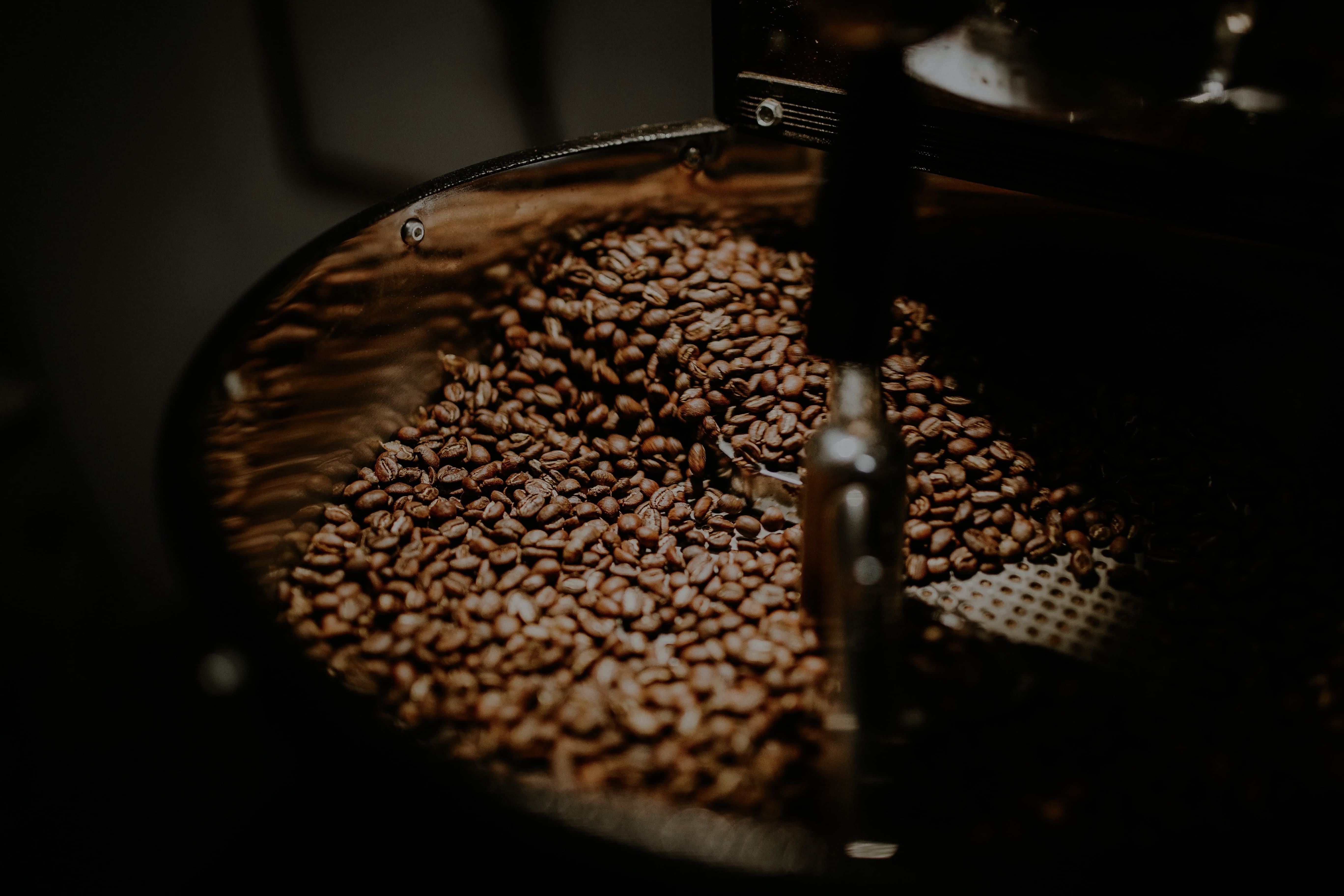 cafeContact